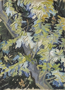 Acacia in Flowers by Vincent van Gogh [1853–1890]